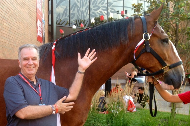 David with Clydesdale